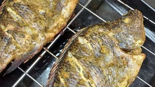 Poisson : Soupe - Braisé - Sauté